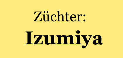 Izumiya